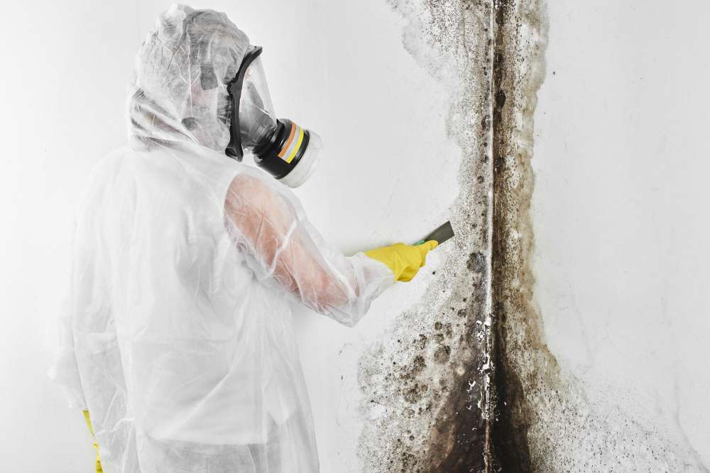 Image showcasing Disaster Cleanup | All Dry Services of East Tennessee