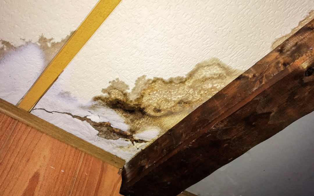 Revive Your Home with Expert Water Damage Restoration