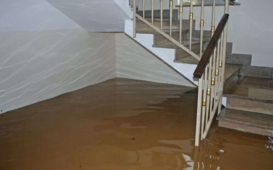 Basement Flooding Cleanup That Turns Chaos Back into Comfort