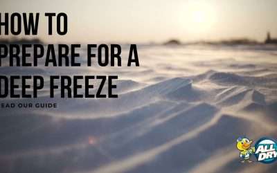 How to Prepare For A Deep Freeze