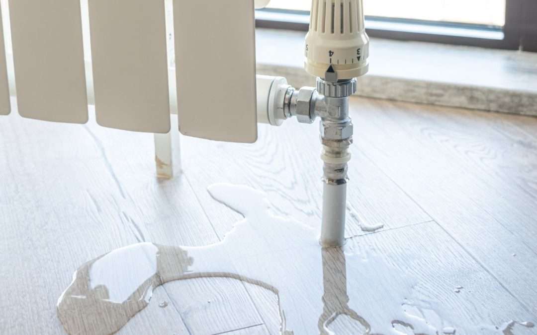 Water Leak Detection That Sniffs Out Trouble Before It Soaks In