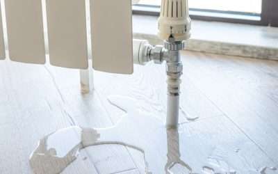 Water Leak Detection That Sniffs Out Trouble Before It Soaks In
