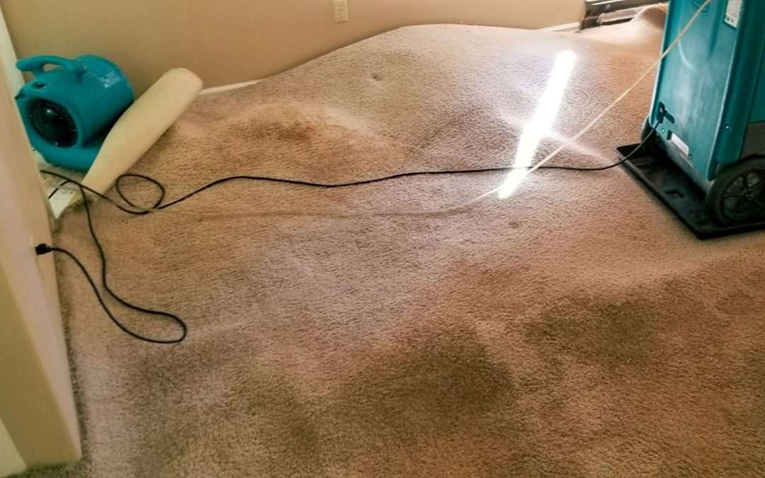 What Every Homeowner Should Know About Water Damage Restoration in Johnson City
