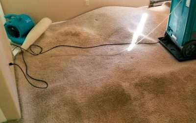 What Every Homeowner Should Know About Water Damage Restoration in Johnson City