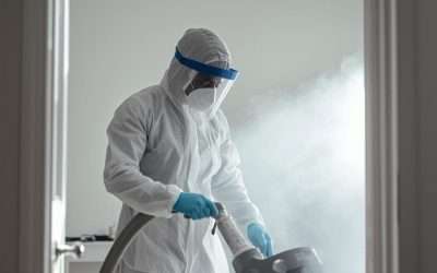 What You Didn’t Know About Odor Removal in Johnson City and How It Works
