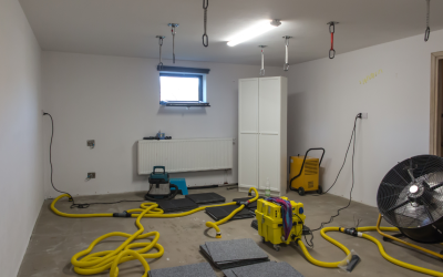 Water Damage Restoration in Bristol After the First 24 Hours