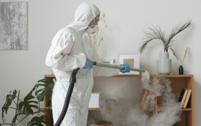 Effective Odor Removal in Asheville You Can Count On